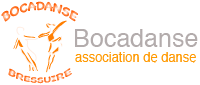 logo bocadanse